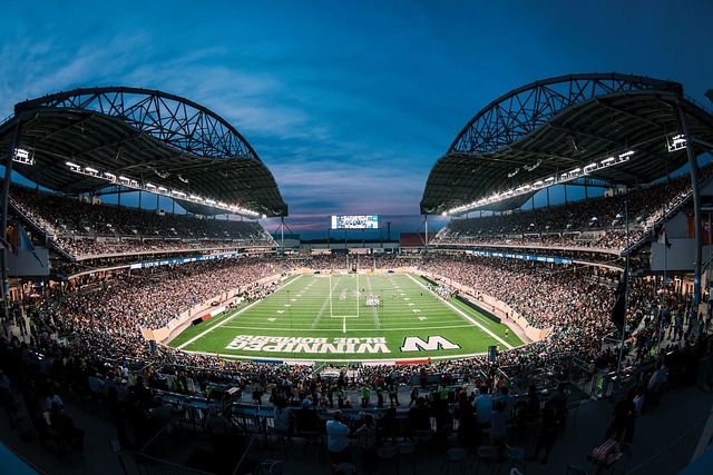 巅峰巨星 巅峰巨星