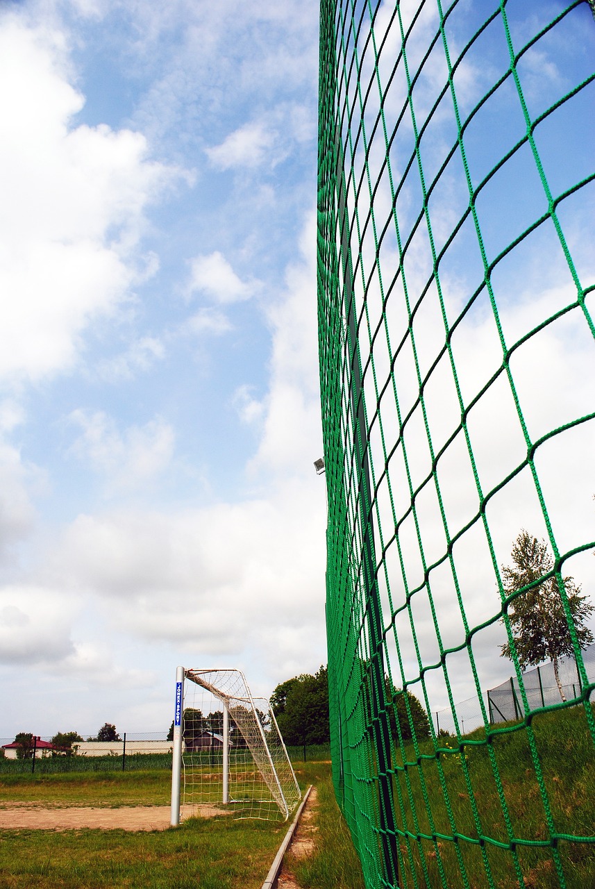 核心领袖 核心领袖