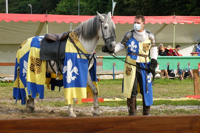 伤病或赛季 伤病或赛季