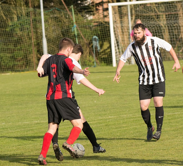 另一位潜力 另一位潜力